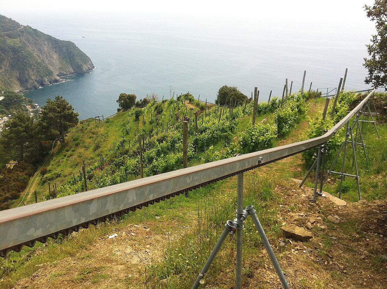 Monotrilho de cremalheira usado para transportar a colheita nos vinhedos em terraço das Cinque Terre