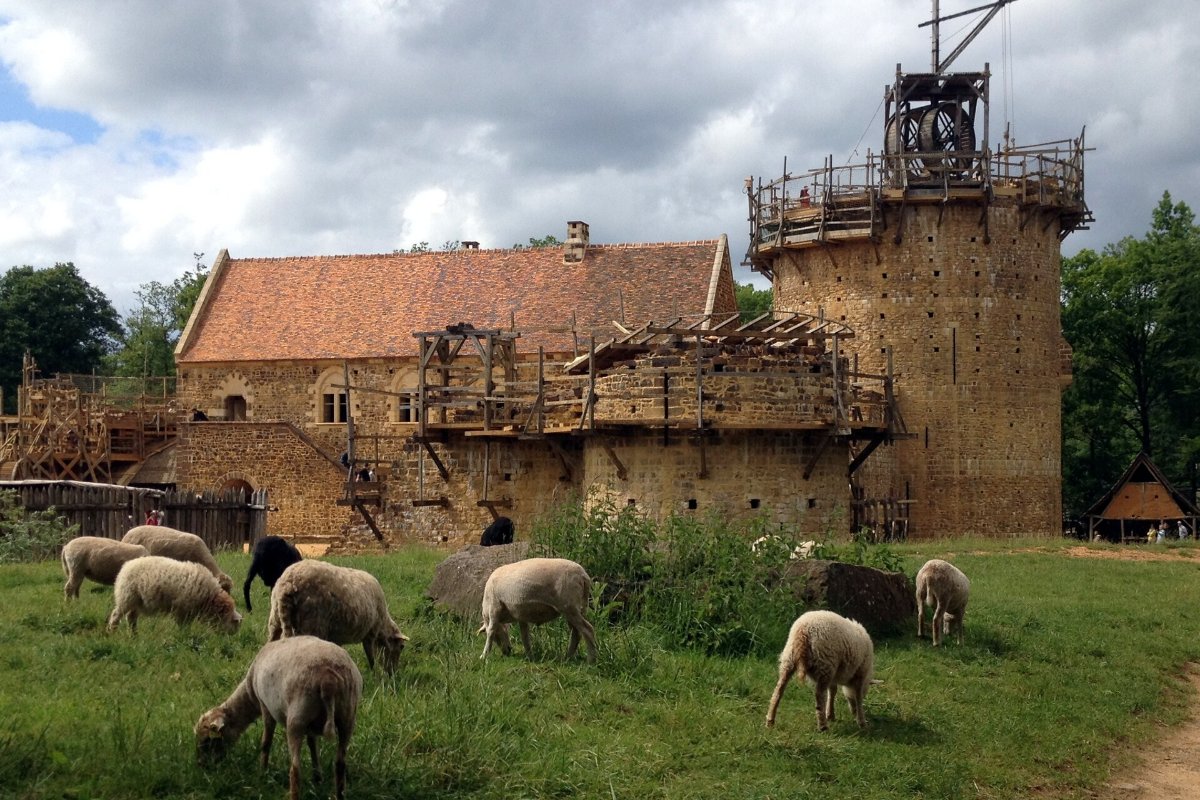 Ovelhas pastando no gramado diante da torre e do corpo principal do castelo de Guédelon